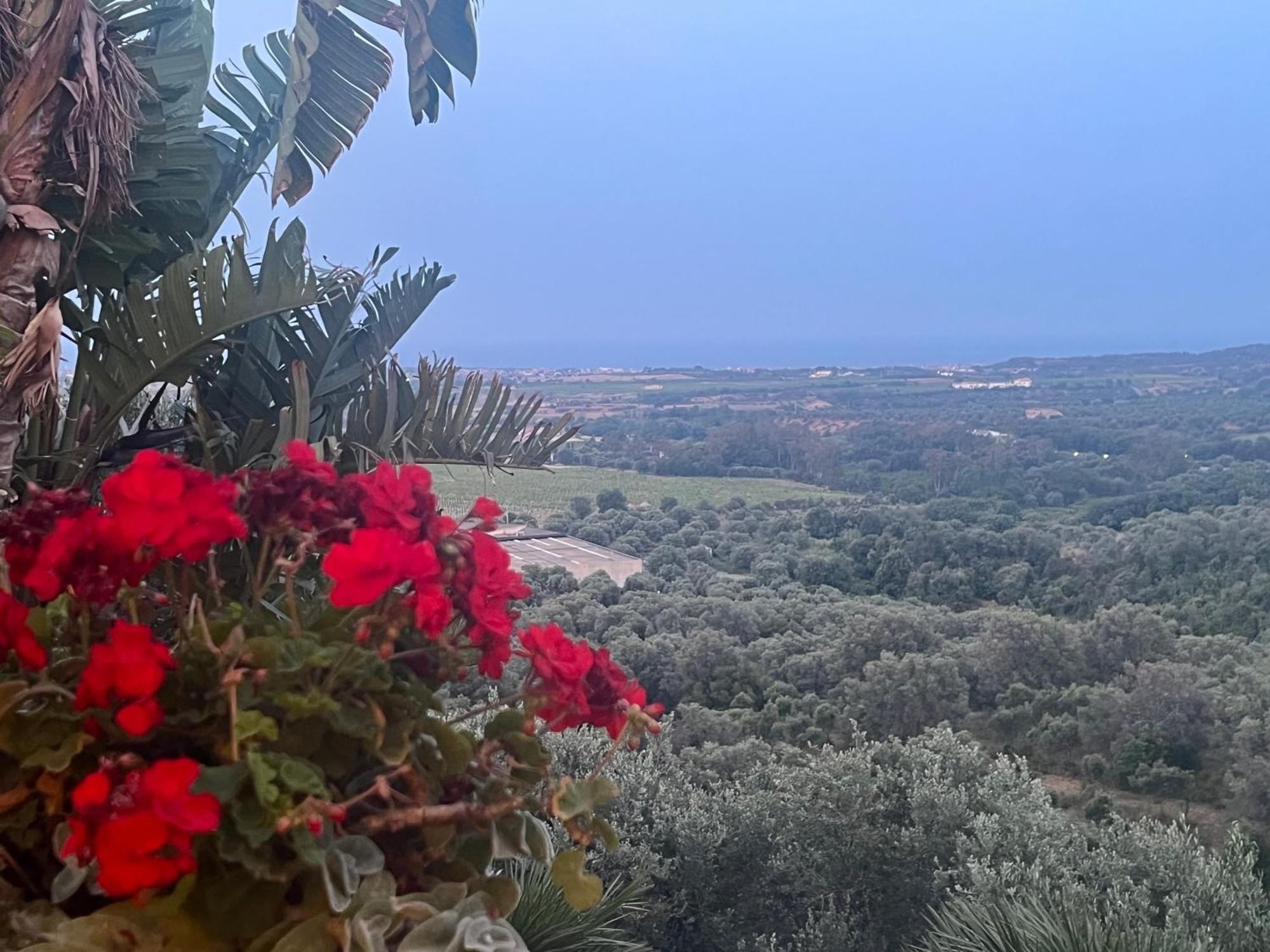 Agriturismo Catena Ciro Dış mekan fotoğraf